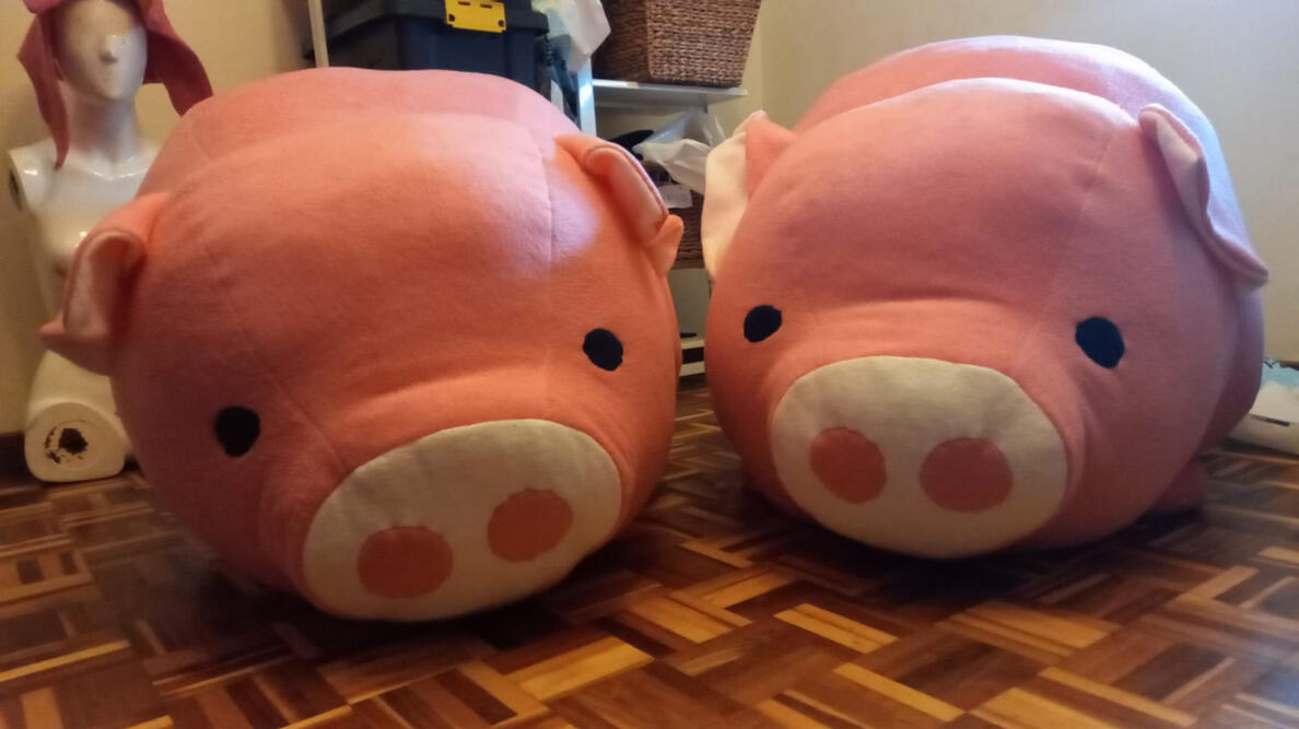 Giant Pigs - 2022 Nov