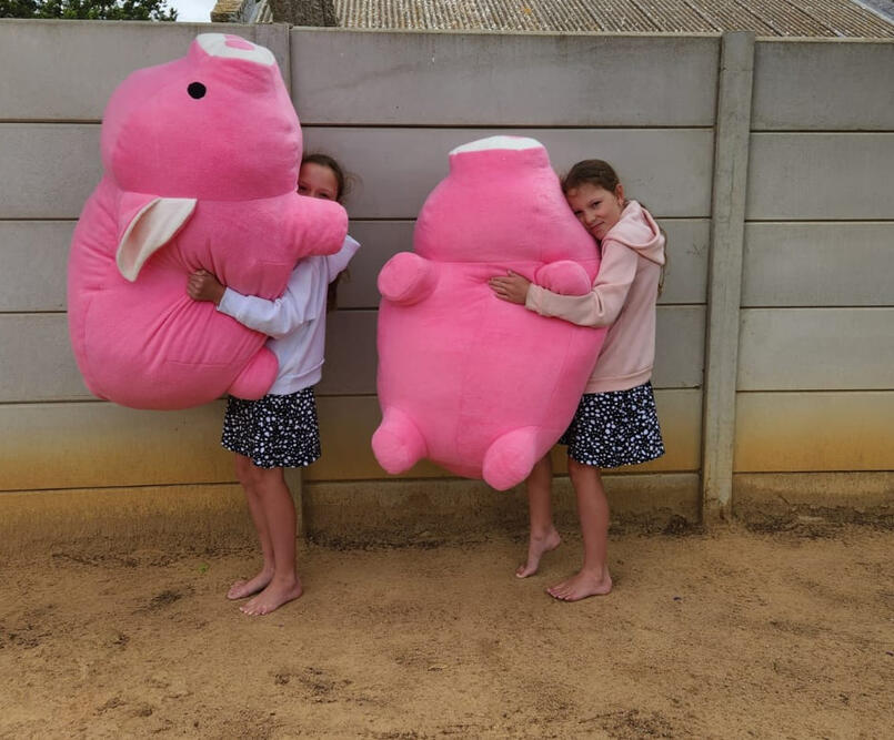 Giant Pigs - 2022 Nov